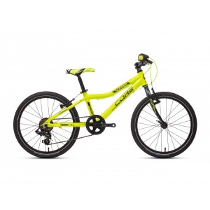 20" Al Nipper, Revo-6